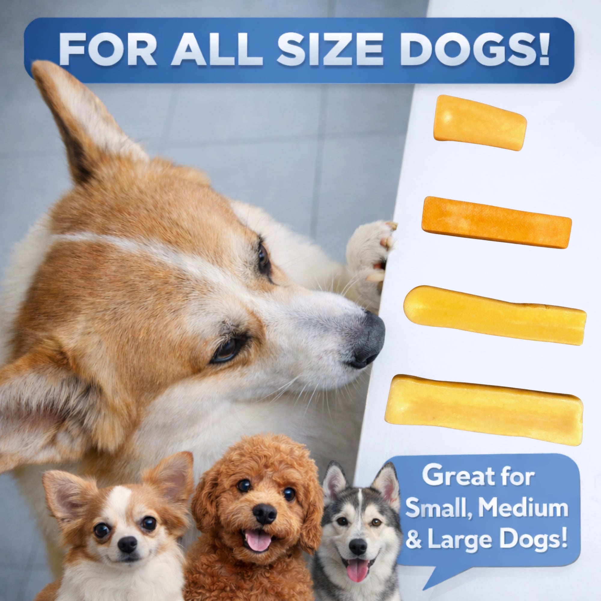 Potala Dog Chew Large