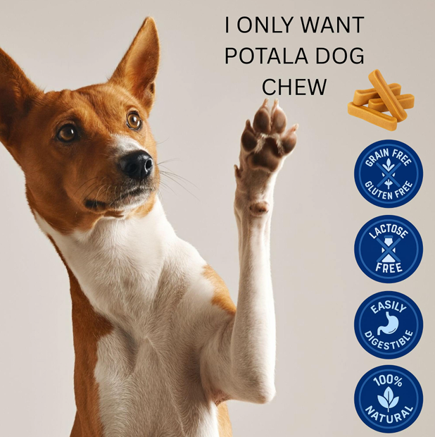 Potala Dog Chew Large