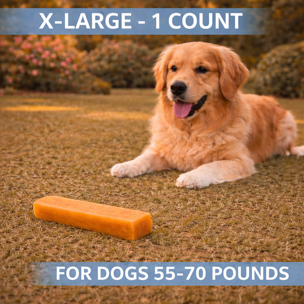 Dog lying on grass with a large dog chew toy, labeled for X-large dogs.